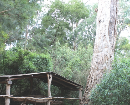 Canoe & Hut2_1500x1000