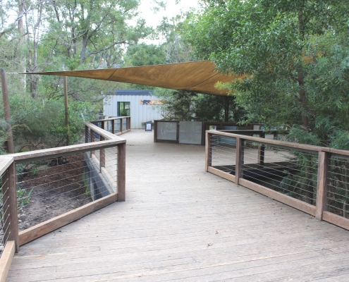 Tassie Devil Viewing Area3_1500x1000