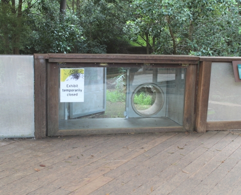 Tassie Devil Viewing Area4_1500x1000